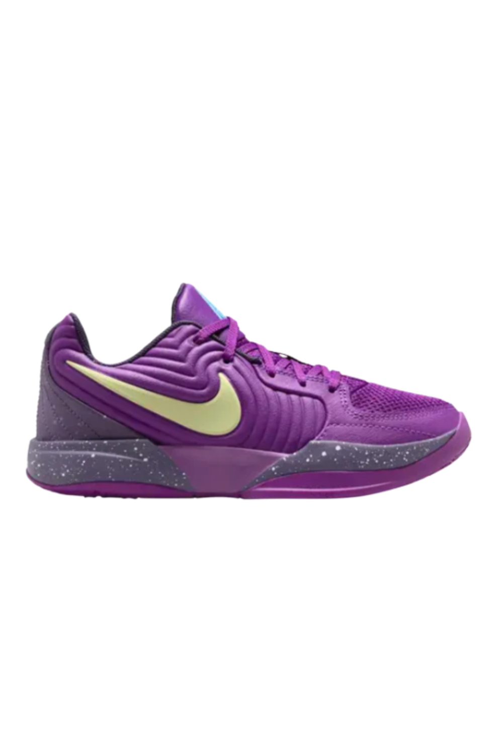 JA 2 GS 'Purple Sky'