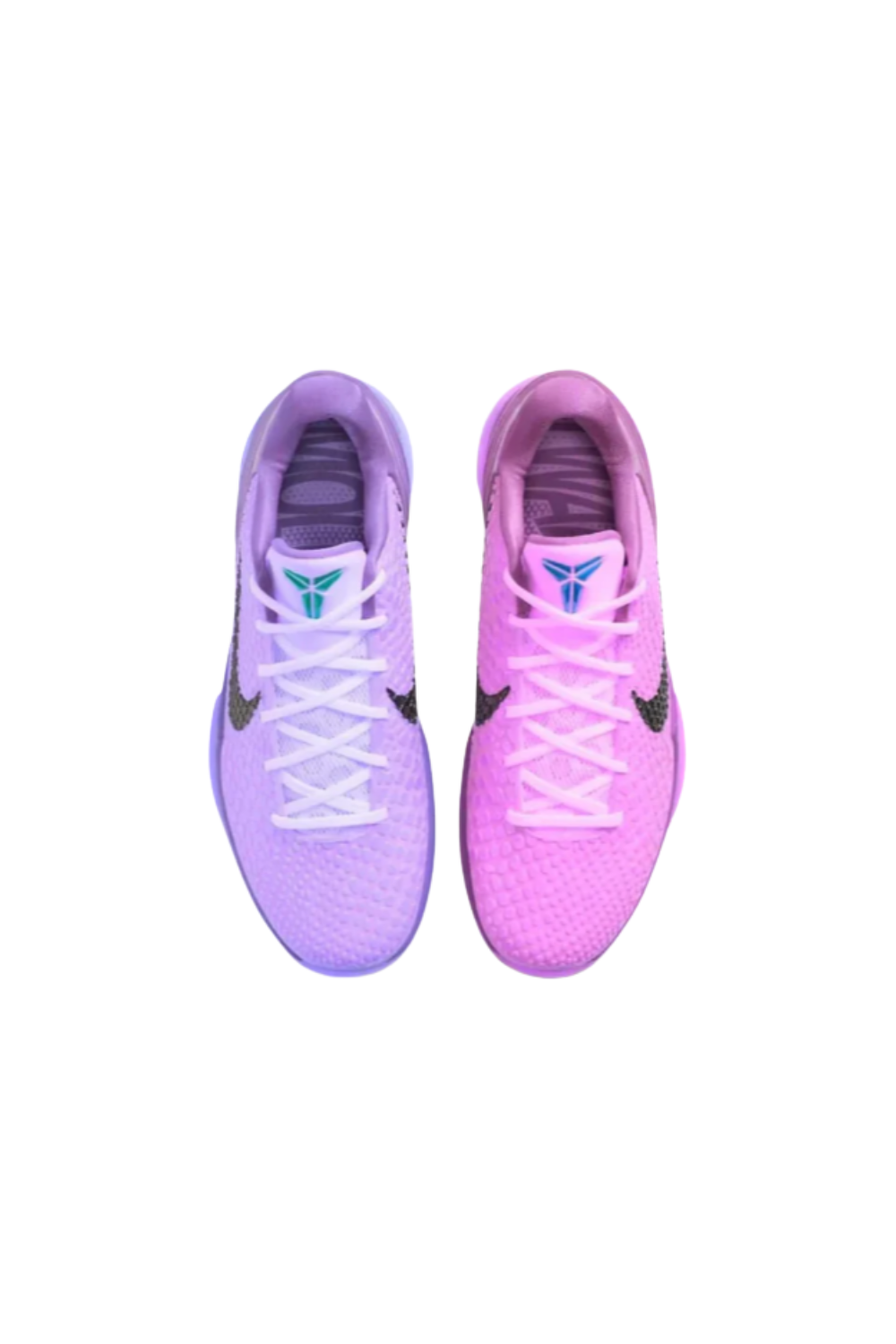 Kobe 6 "COTTON CANDY"